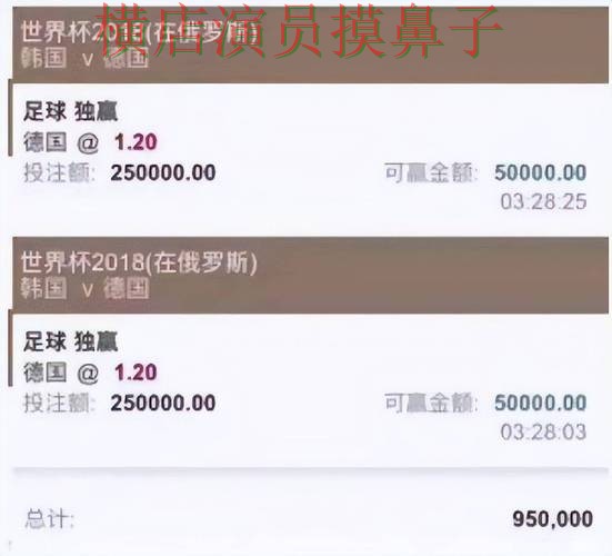 世界杯官方信息期间热门世界杯买球平台解析与直播入口分析 世界杯官方信息期间热门世界杯买球平台解析与直播入口分析